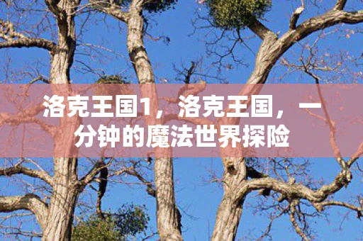 洛克王国1，洛克王国，一分钟的魔法世界探险