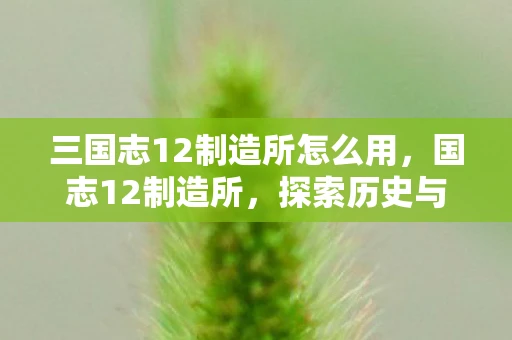 三国志12制造所怎么用，国志12制造所，探索历史与现代的交汇点