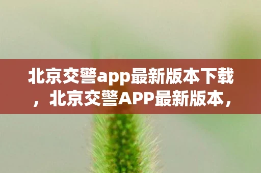 北京交警app最新版本下载，北京交警APP最新版本，智能出行，便捷生活