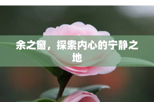 余之窗，探索内心的宁静之地