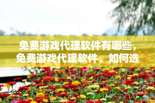免费游戏代理软件有哪些，免费游戏代理软件，如何选择和使用？