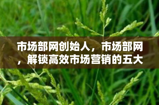 市场部网创始人,市场部网,解锁高效市场营销的五大策略 市场部网创始人,市场部网,解锁高效市场营销的五大策略