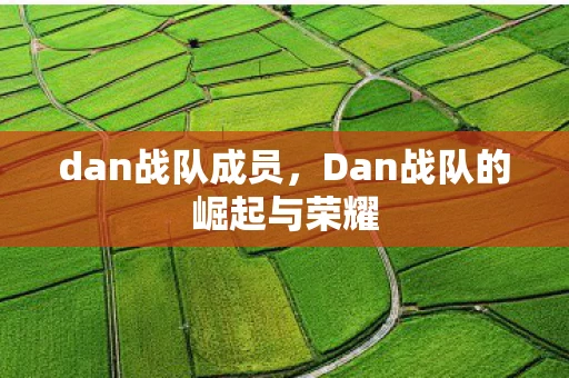 dan战队成员，Dan战队的崛起与荣耀