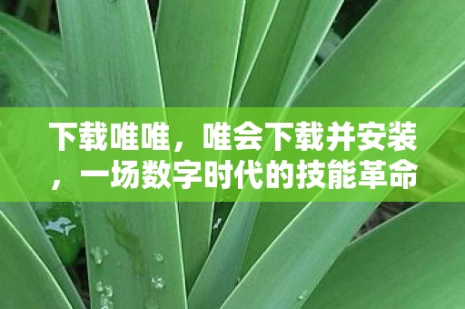 下载唯唯，唯会下载并安装，一场数字时代的技能革命