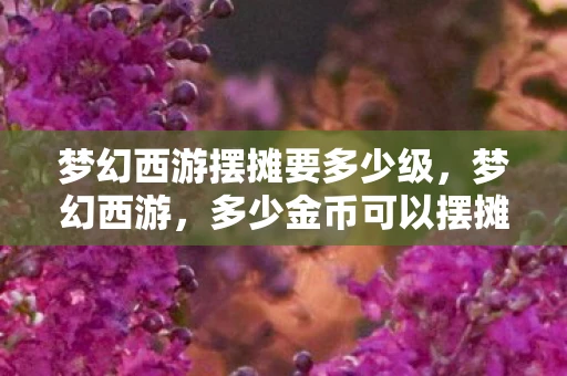 梦幻西游摆摊要多少级，梦幻西游，多少金币可以摆摊？