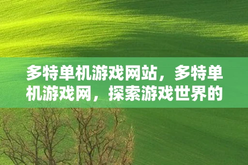 多特单机游戏网站，多特单机游戏网，探索游戏世界的无限可能