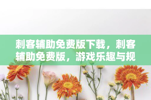 刺客辅助免费版下载，刺客辅助免费版，游戏乐趣与规则的平衡