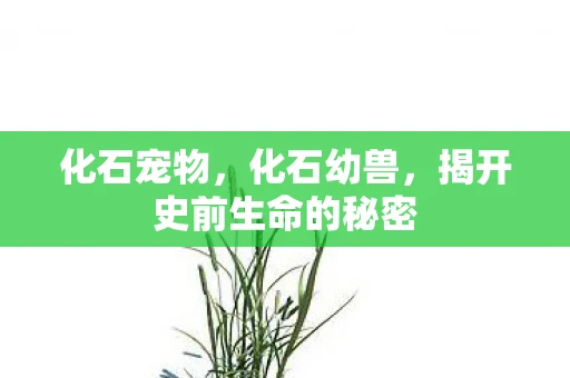 化石宠物，化石幼兽，揭开史前生命的秘密