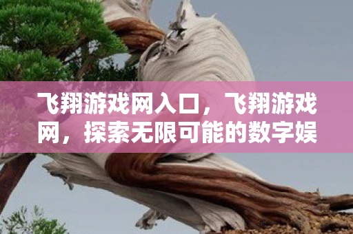 飞翔游戏网入口，飞翔游戏网，探索无限可能的数字娱乐王国
