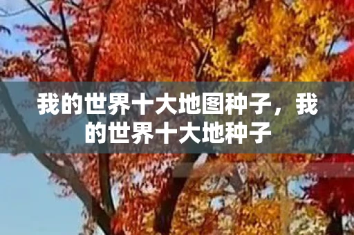 我的世界十大地图种子，我的世界十大地种子