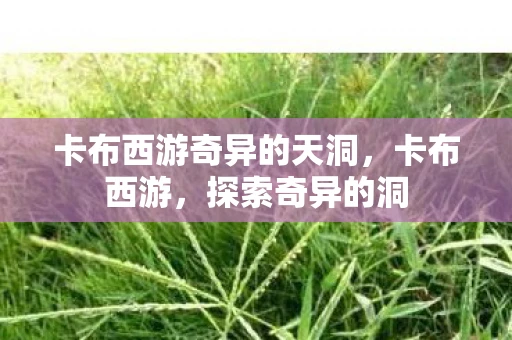 卡布西游奇异的天洞，卡布西游，探索奇异的洞