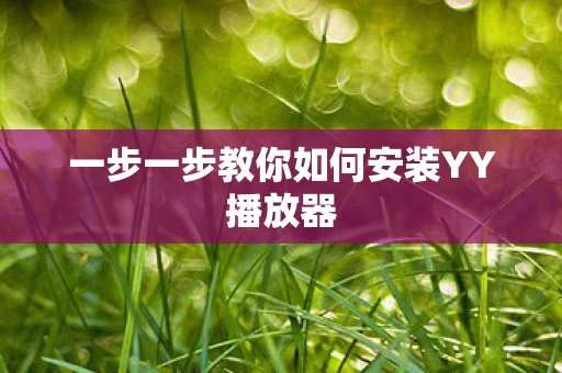 一步一步教你如何安装YY播放器图片
