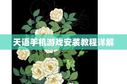 天语手机游戏安装教程详解图片