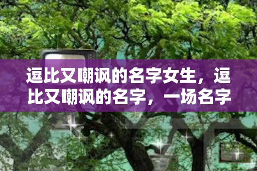 逗比又嘲讽的名字女生，逗比又嘲讽的名字，一场名字界的狂欢