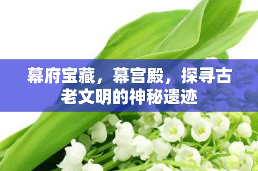 幕府宝藏，幕宫殿，探寻古老文明的神秘遗迹