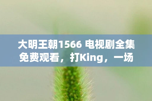 大明王朝1566 电视剧全集免费观看，打King，一场关于荣耀与梦想的较量