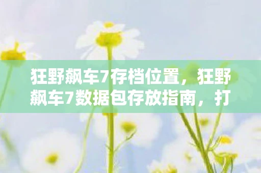 狂野飙车7存档位置，狂野飙车7数据包存放指南，打造流畅游戏体验