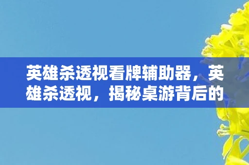 英雄杀透视看牌辅助器，英雄杀透视，揭秘桌游背后的策略与智慧