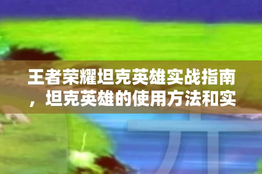坦克英雄的使用方法和实战资讯图片