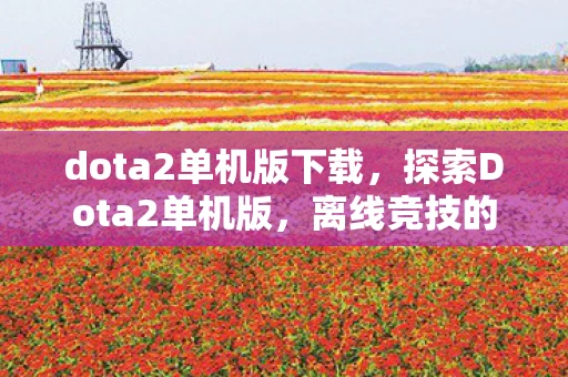 dota2单机版下载，探索Dota2单机版，离线竞技的无限可能