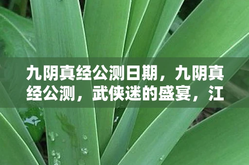 九阴真经公测日期，九阴真经公测，武侠迷的盛宴，江湖梦的起航