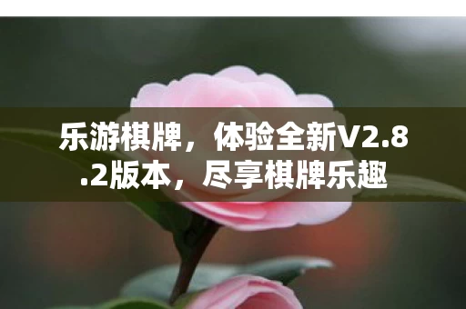 体验全新V2图片