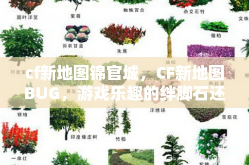 cf新地图锦官城，CF新地图BUG，游戏乐趣的绊脚石还是创意的火花？