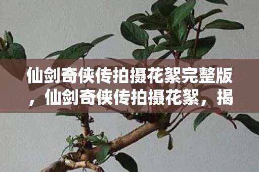 仙剑奇侠传拍摄花絮完整版，仙剑奇侠传拍摄花絮，揭秘经典剧集的幕后故事