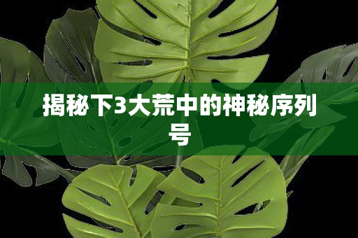 揭秘下3大荒中的神秘序列号