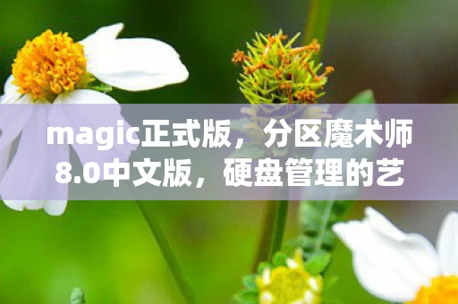 magic正式版，分区魔术师8.0中文版，硬盘管理的艺术