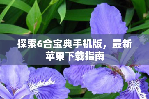 探索6合宝典手机版图片