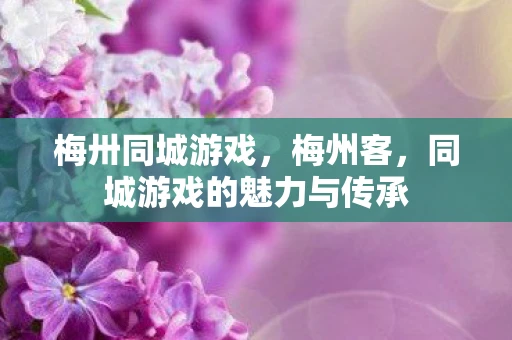梅卅同城游戏，梅州客，同城游戏的魅力与传承