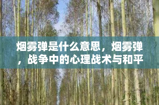 烟雾弹是什么意思，烟雾弹，战争中的心理战术与和平时代的隐喻