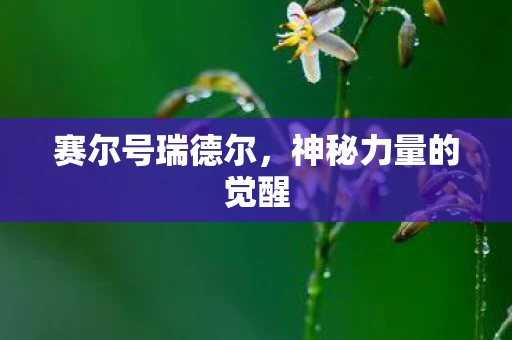 赛尔号瑞德尔，神秘力量的觉醒