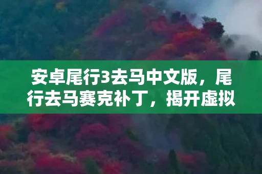 安卓尾行3去马中文版，尾行去马赛克补丁，揭开虚拟世界的神秘面纱