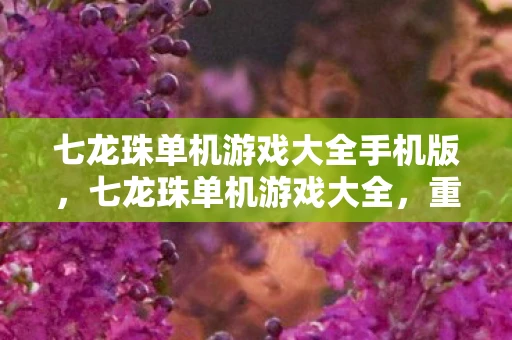 七龙珠单机游戏大全手机版,七龙珠单机游戏大全,重温经典,挑战无限 七龙珠单机游戏大全手机版,七龙珠单机游戏大全,重温经典,挑战无限