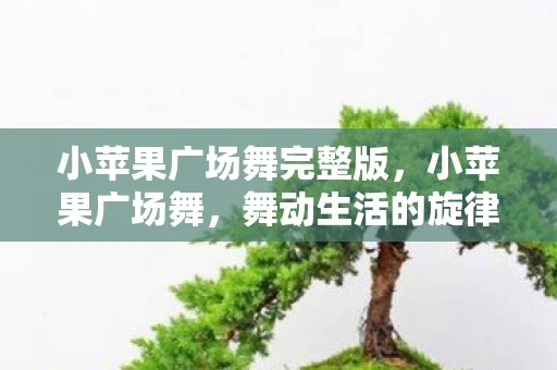 小苹果广场舞完整版，小苹果广场舞，舞动生活的旋律