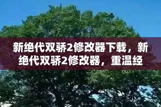 新绝代双骄2修改器下载，新绝代双骄2修改器，重温经典，解锁无限可能