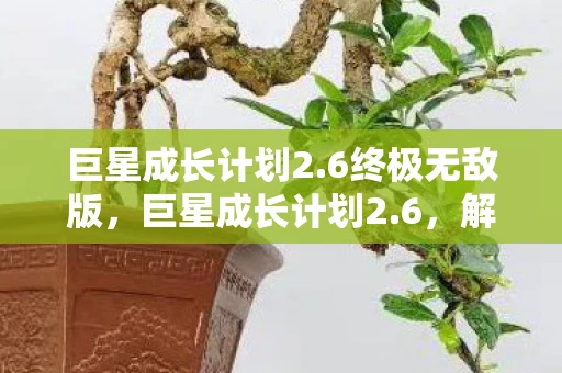 巨星成长计划2.6终极无敌版，巨星成长计划2.6，解锁新篇章，重塑巨星之路