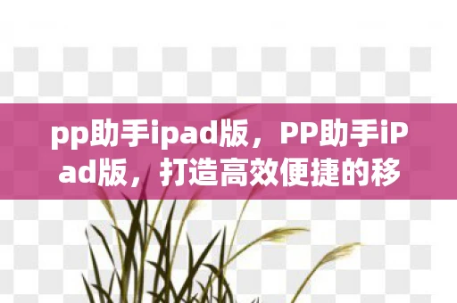 pp助手ipad版,PP助手iPad版,打造高效便捷的移动设备管理体验 pp助手ipad版,PP助手iPad版,打造高效便捷的移动设备管理体验