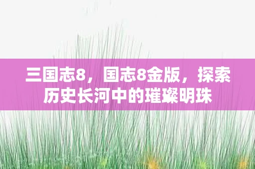 三国志8，国志8金版，探索历史长河中的璀璨明珠