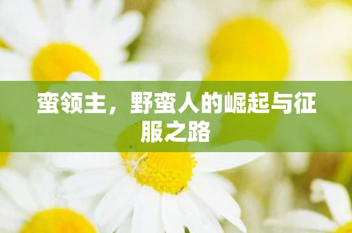 蛮领主，野蛮人的崛起与征服之路