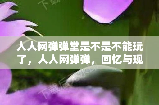人人网弹弹堂是不是不能玩了，人人网弹弹，回忆与现实的交织