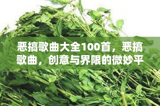 恶搞歌曲大全100首，恶搞歌曲，创意与界限的微妙平衡