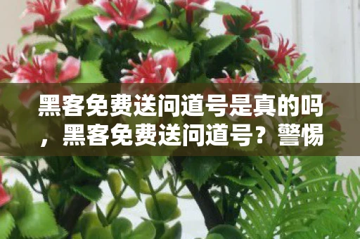黑客免费送问道号是真的吗，黑客免费送问道号？警惕网络诈骗新招数