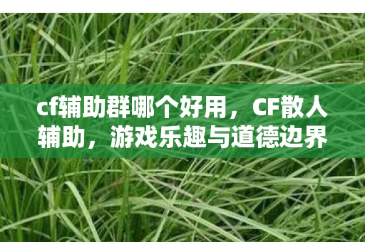 cf辅助群哪个好用，CF散人辅助，游戏乐趣与道德边界的微妙平衡