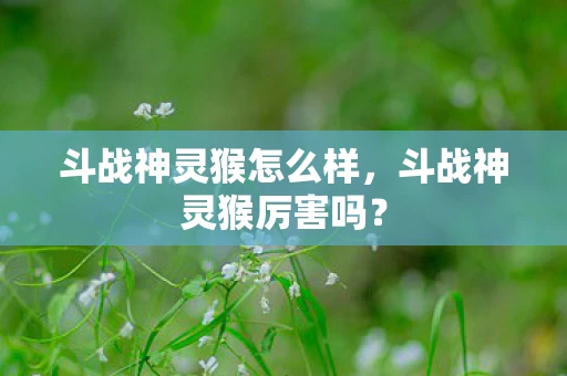 斗战神灵猴怎么样，斗战神灵猴厉害吗？