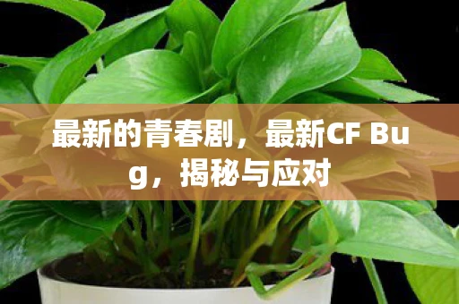 最新的青春剧，最新CF Bug，揭秘与应对