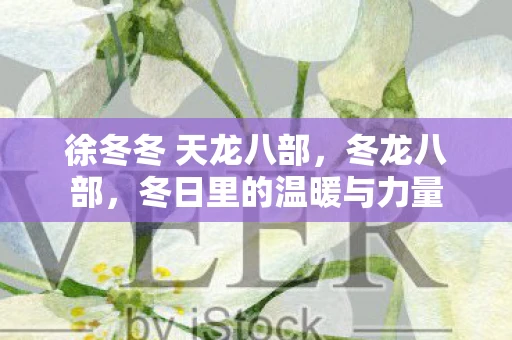 徐冬冬 天龙八部，冬龙八部，冬日里的温暖与力量