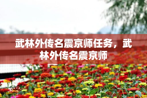 武林外传名震京师任务，武林外传名震京师